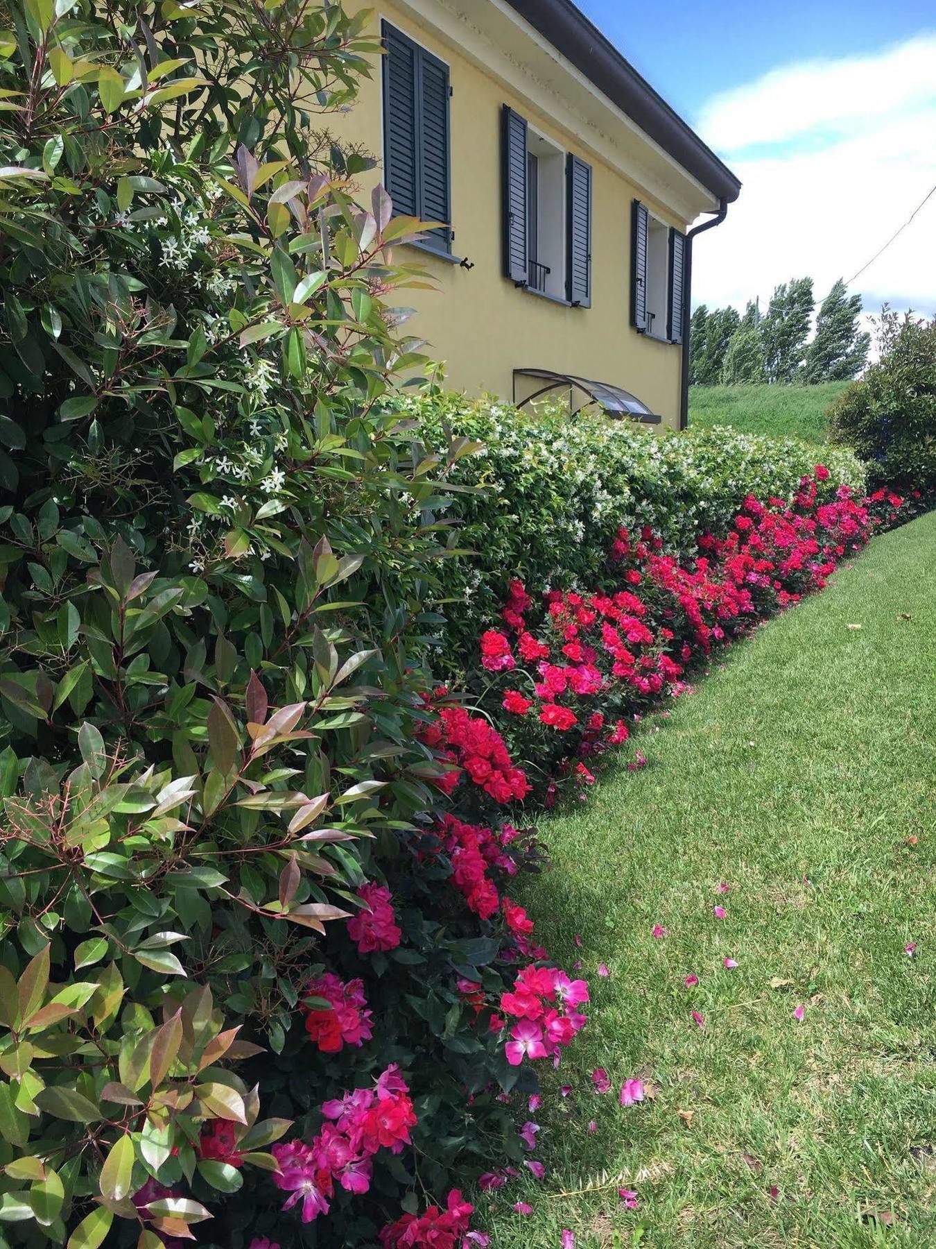 Hotel Locanda Stendhal Colorno Bagian luar foto